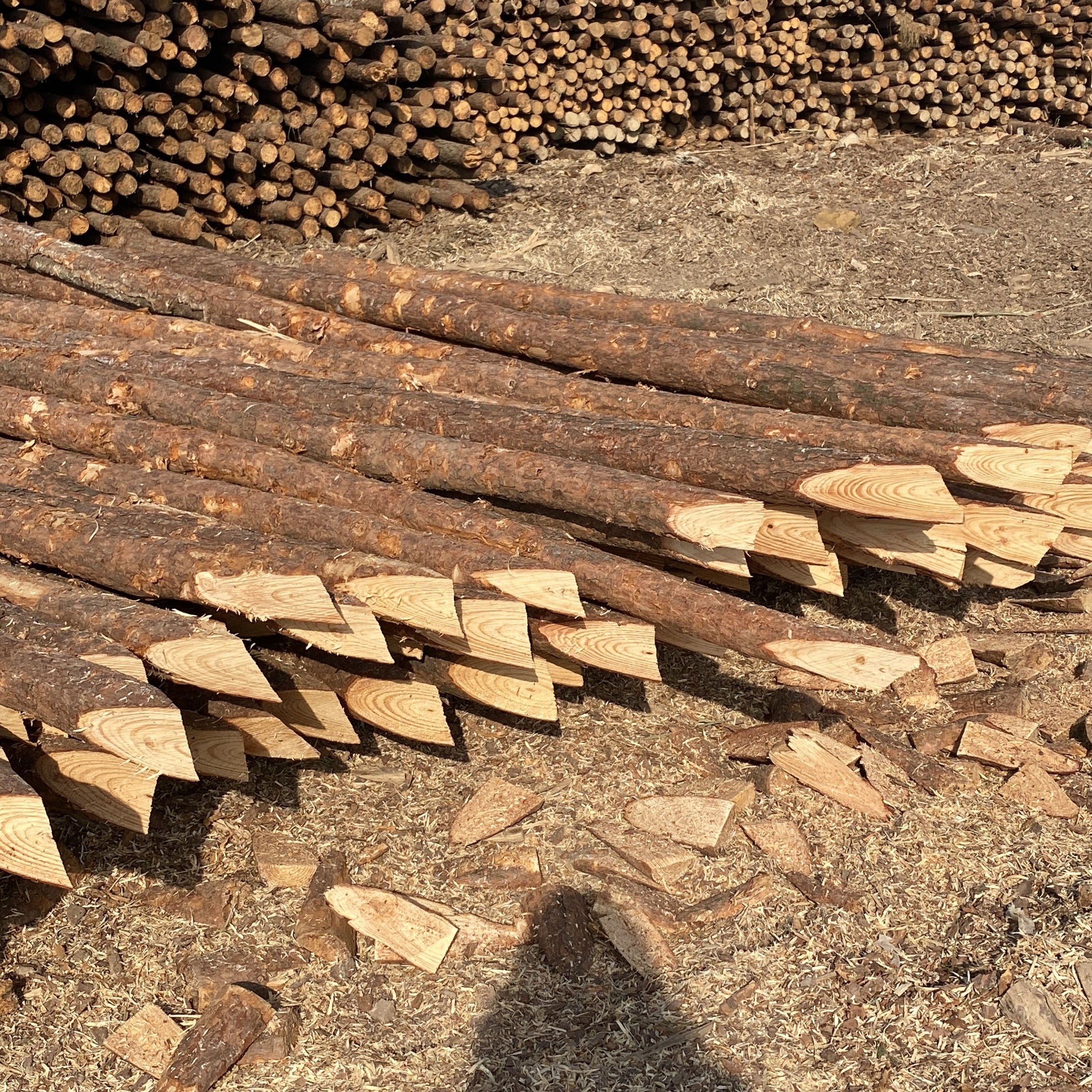 松木樁施工隊泓樺錦嘉-樁與樁之間的距離要求？