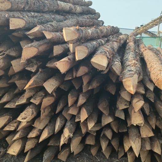 松木樁施工隊(duì)泓樺錦嘉 - 河道改造用什么規(guī)格的打樁木？