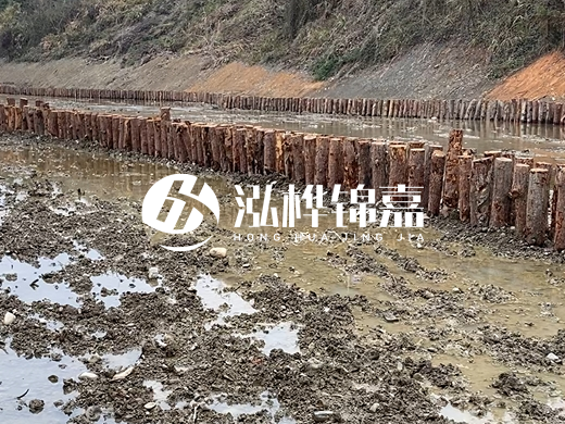 松木樁施工隊(duì)泓樺錦嘉 - 河道打松木樁施工流程？