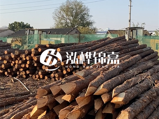 松木樁施工隊(duì)泓樺錦嘉 - 河道打樁用什么木樁？