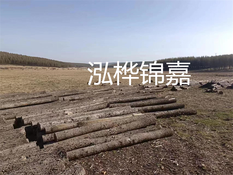 以質(zhì)量為導向，探索實用性與高效性——仿松木樁施工機械價格