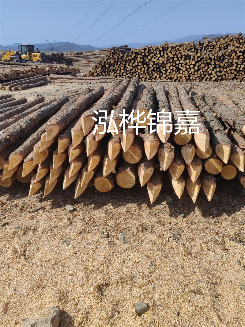 宿州哪里賣松木樁？了解一下木材市場